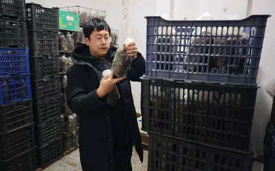 ��ͼ�������磺������������ ɽ��ͷ�ؿ�����·(ͼ2)