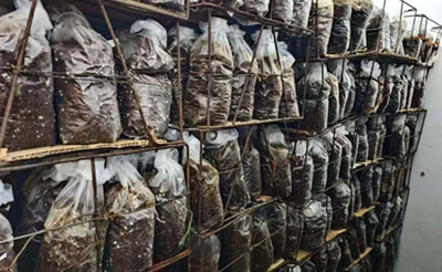 ��ͼ�������磺������������ ɽ��ͷ�ؿ�����·(ͼ1)