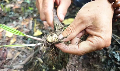 ��ͼ�������磺������������ ɽ��ͷ�ؿ�����·(ͼ3)