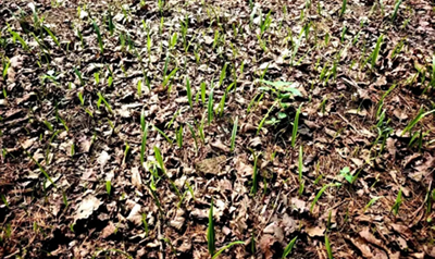 ��ͼ�������磺������������ ɽ��ͷ�ؿ�����·(ͼ4)